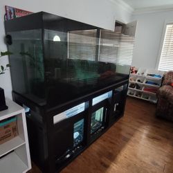 Fish Tank