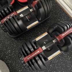 Bowflex 552 Dumbbells