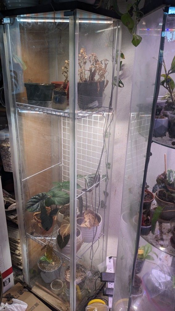 Glass Plant Cabinet With Lighting $60