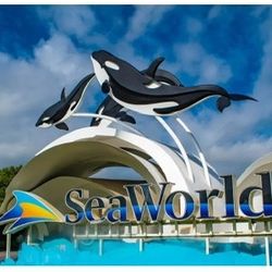 Seaworld Tickets 