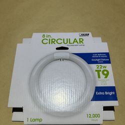 Replacement Light 