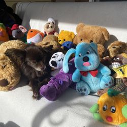 Lots Of Stuffed Animals