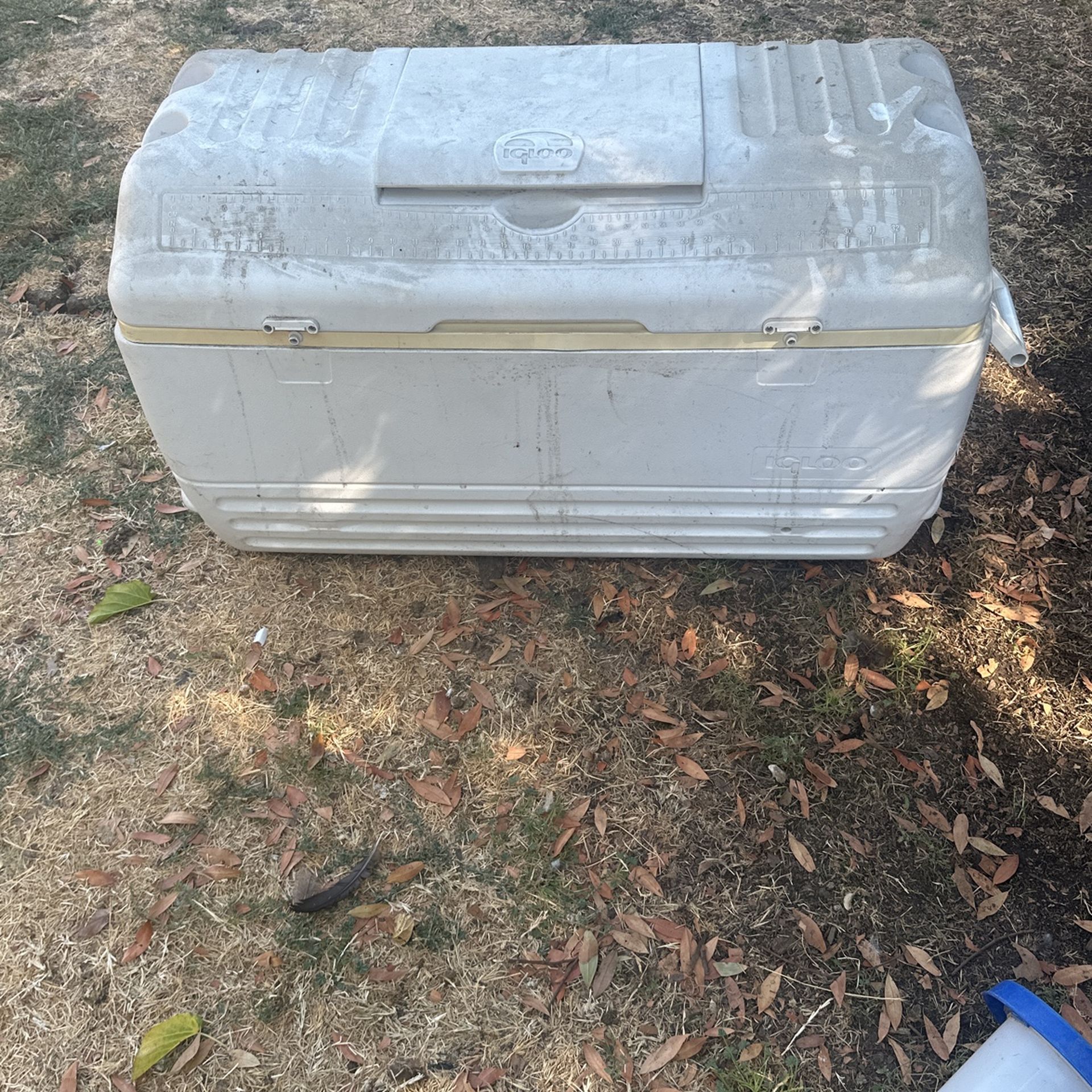 Extra Large Igloo Ice Chest