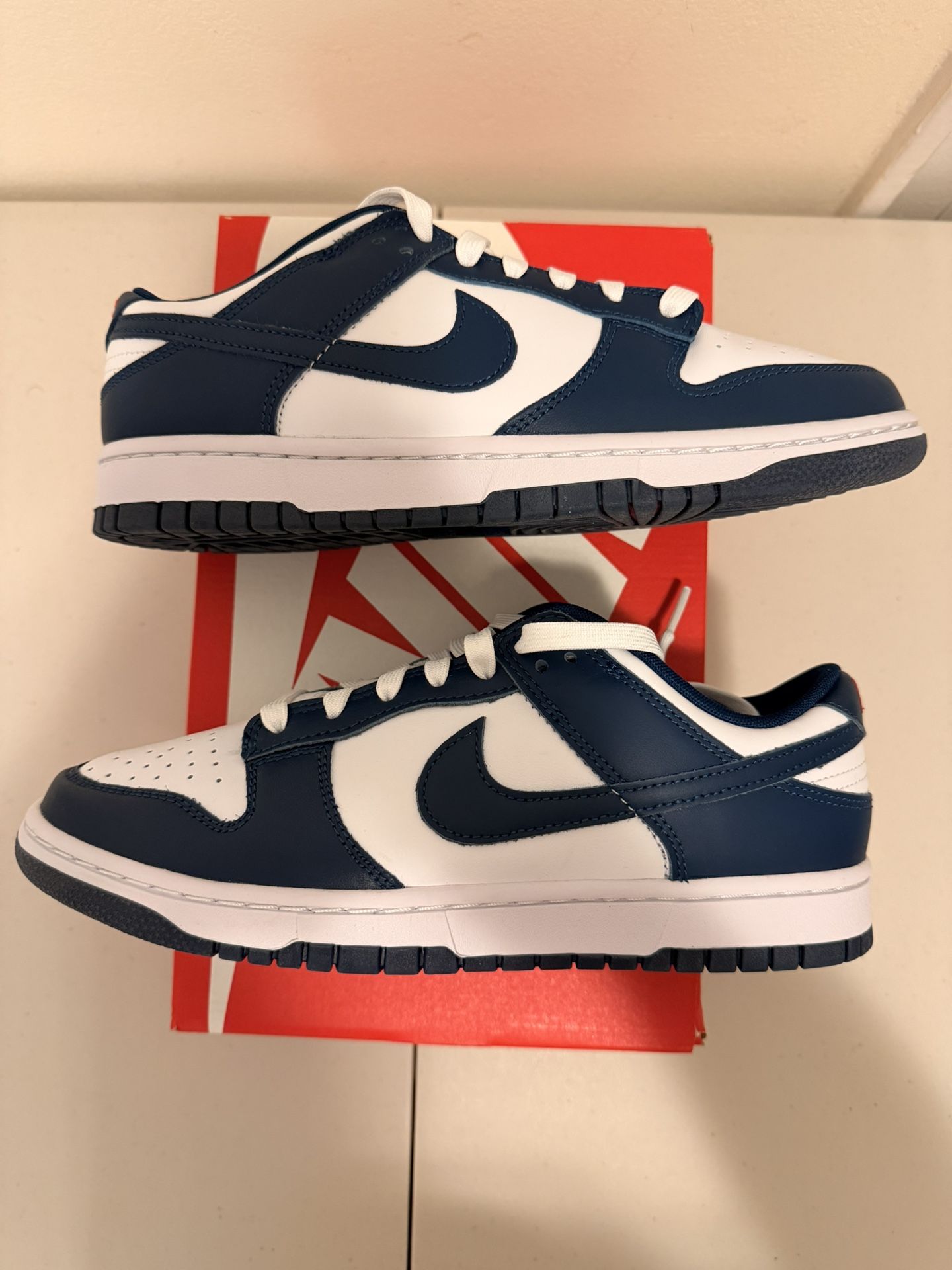 Nike Dunk Low Valerian Blue Size 9 Men