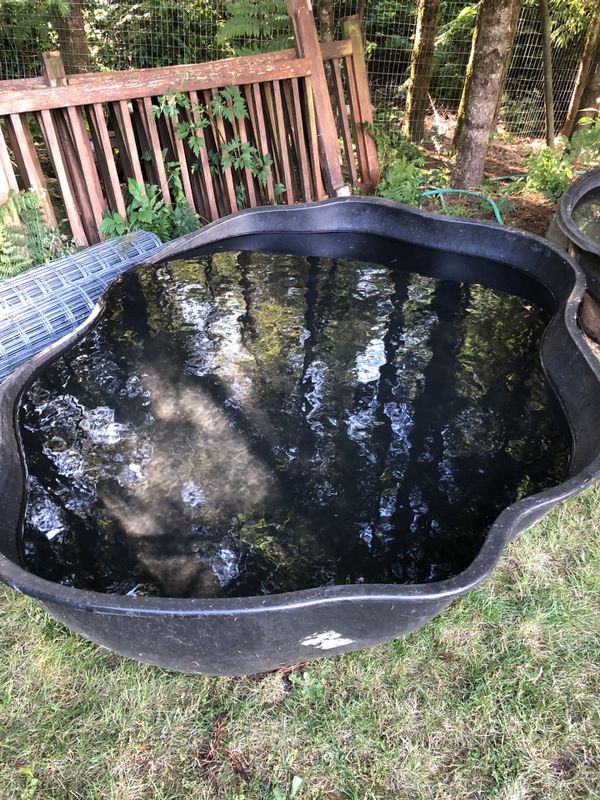 250 Gallon Pond For Sale In Port Orchard WA OfferUp 250 Gallon Pond For Sale In Port Orchard WA OfferUp