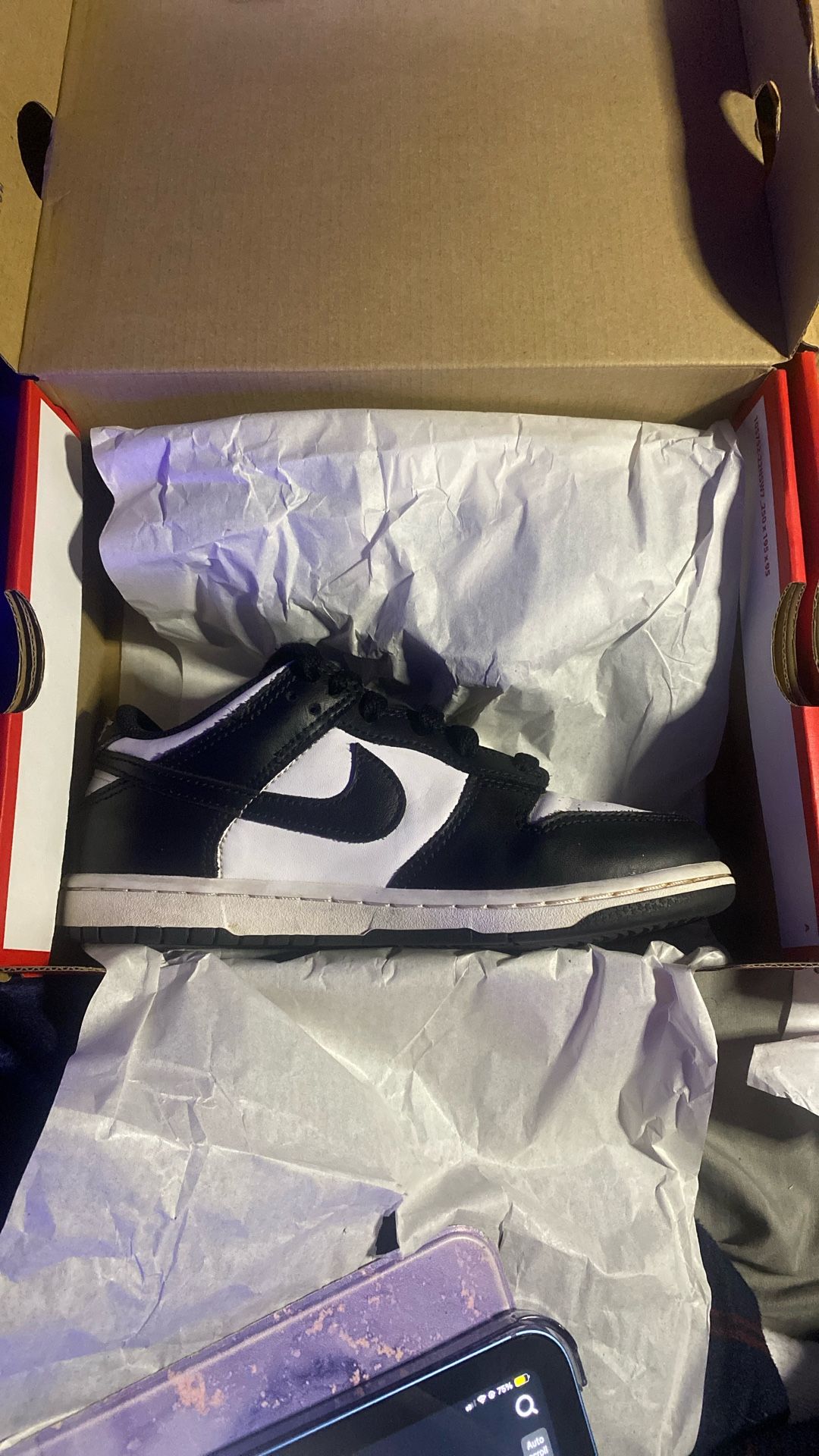 Nike Dunks