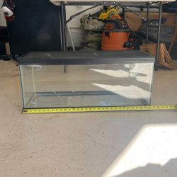 20 Gallon Reptile Tank