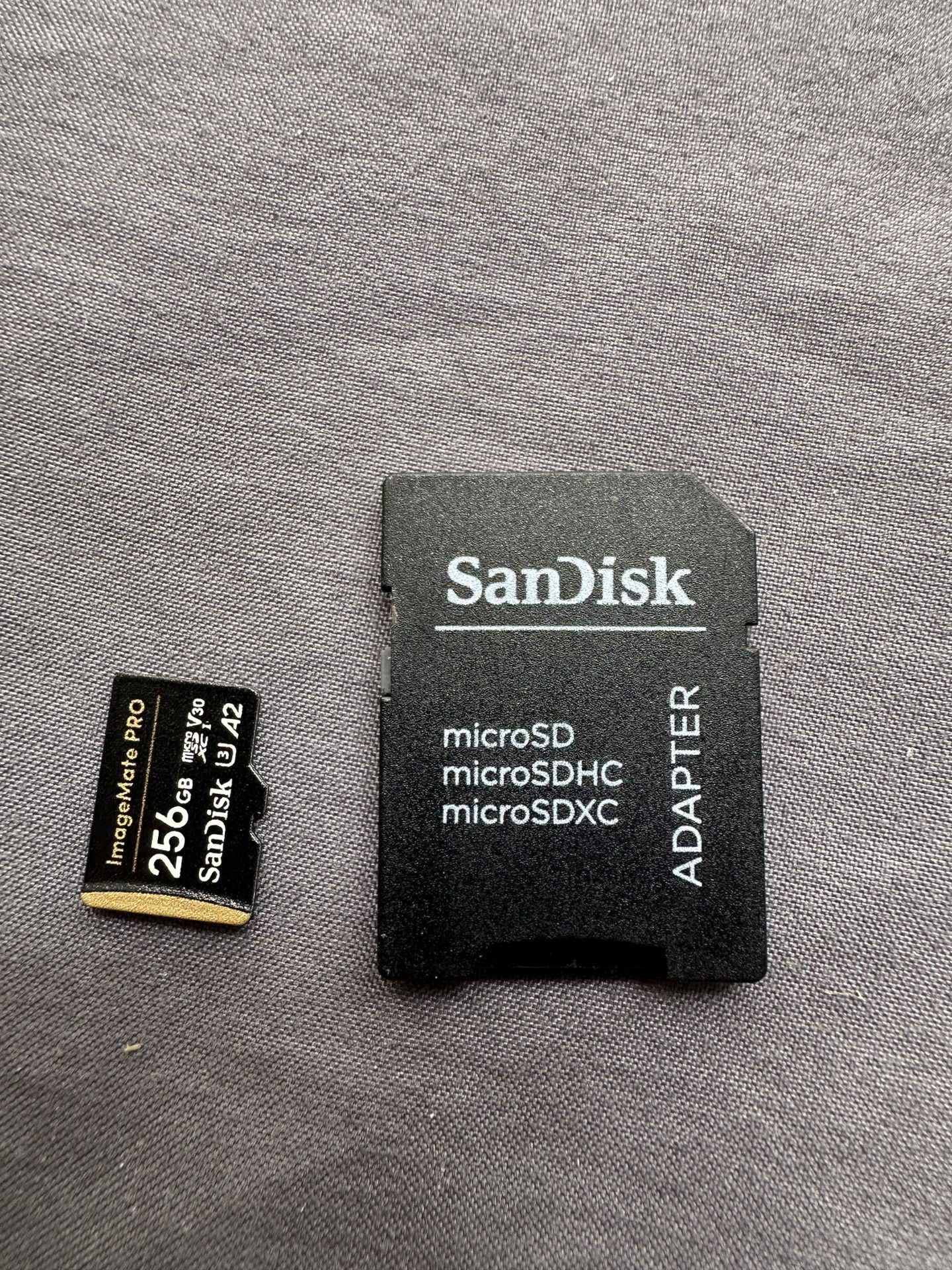 SanDisk 256GB micro SD card