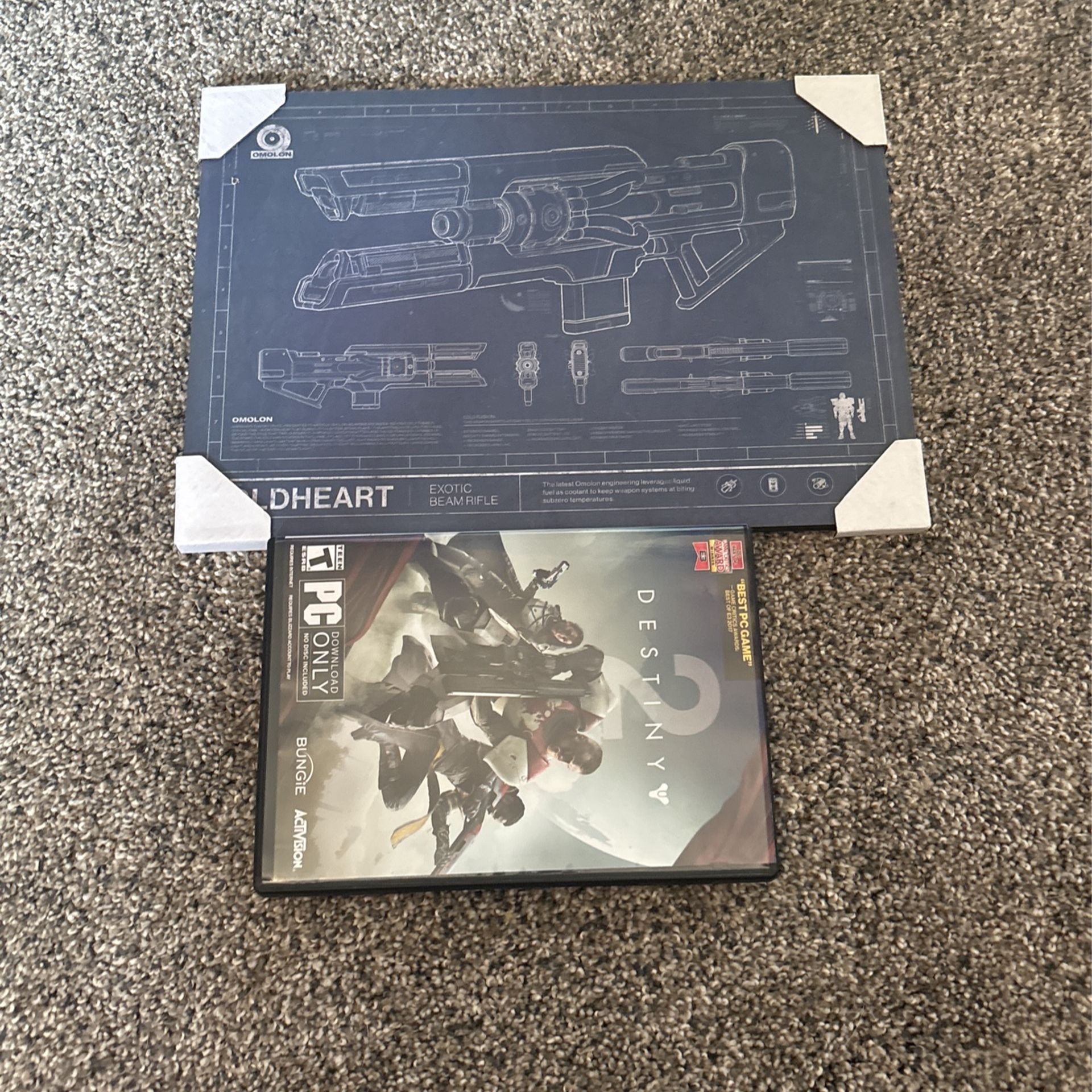 Destiny 2 Cold heart Art And Empty Case