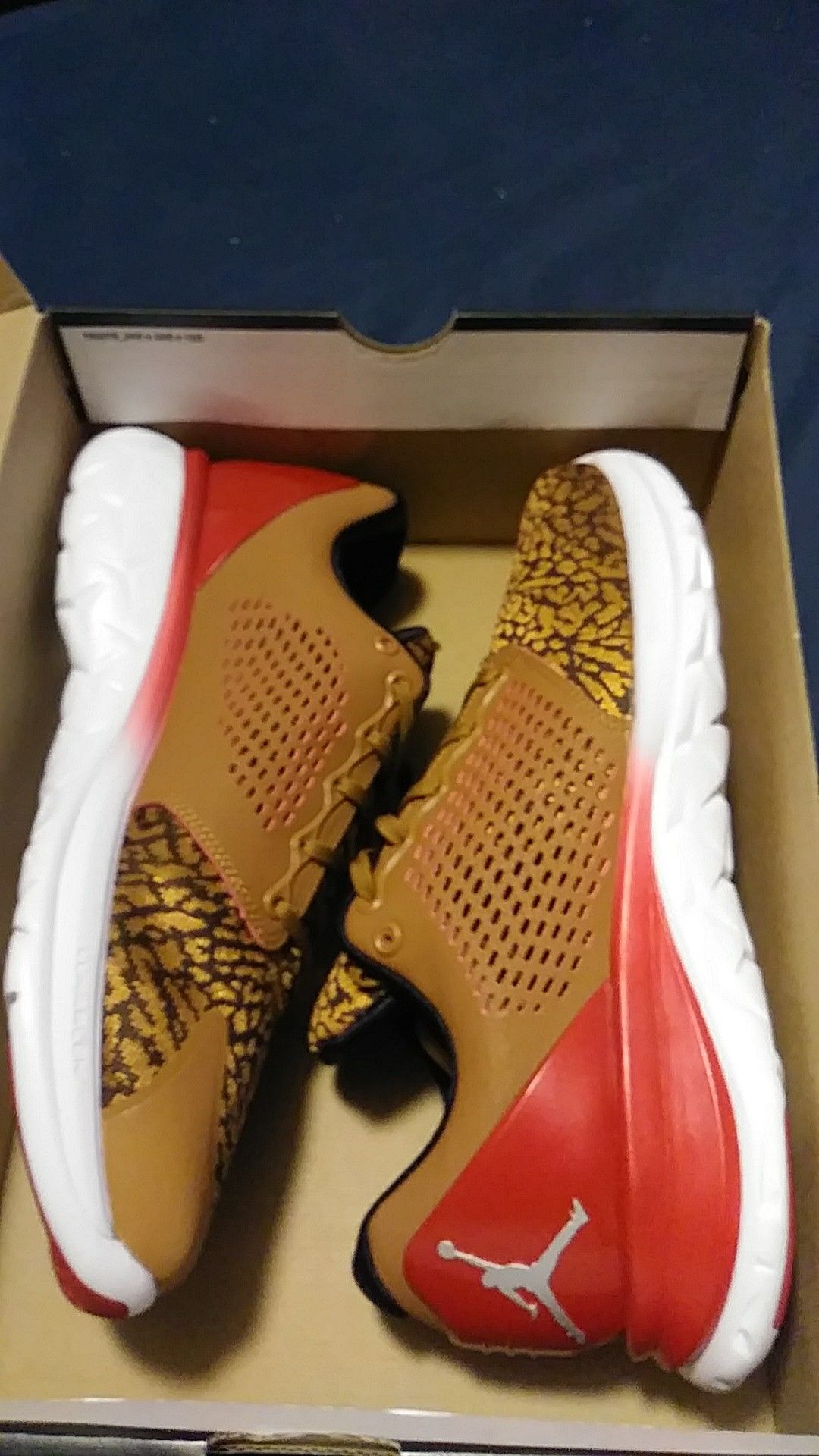 Jordan Trainer ST Prem