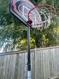 Lifetime 32" Youth Portable Basketball Hoop