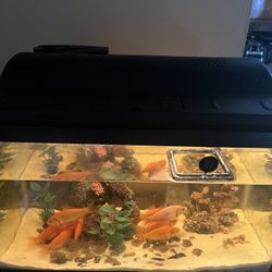 Fish Tank