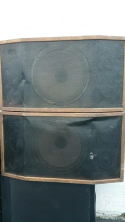 ADC WDDS-12 Vintage Speaker