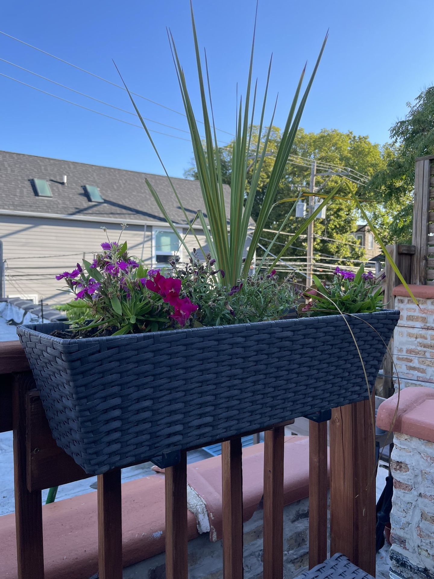 3 Wicker Rectangular Planters