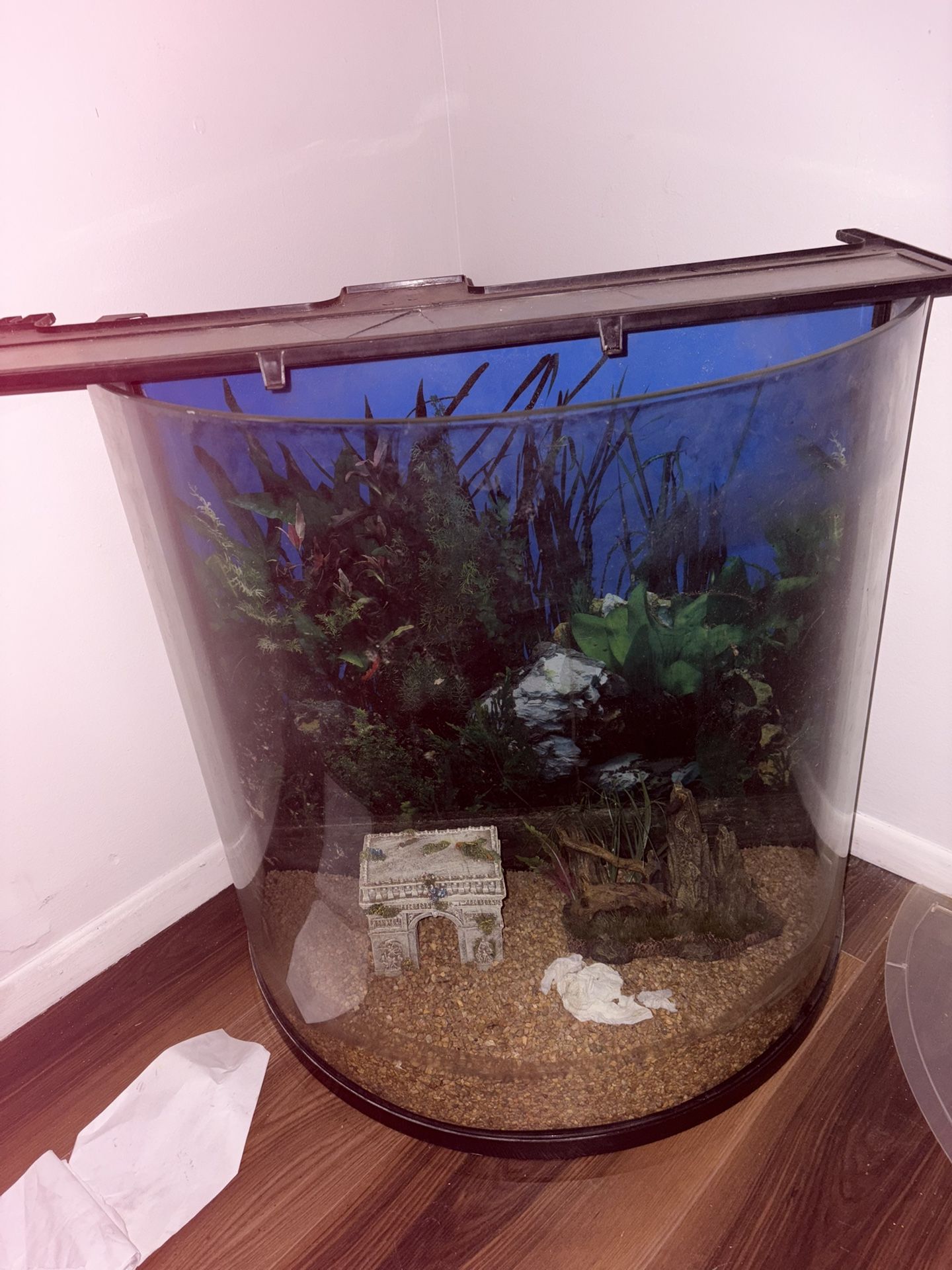 Fish Tank With Miscellaneous Items 