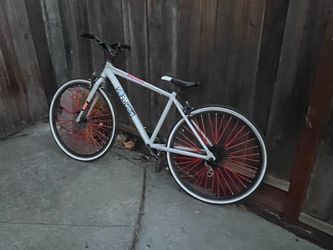 Pedal bike