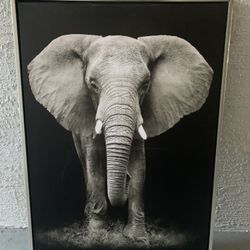 Elephant Poster