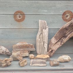 fish tank accessories Driftwood and rocks $50 for everything