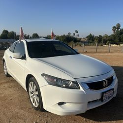2010 Honda Accord