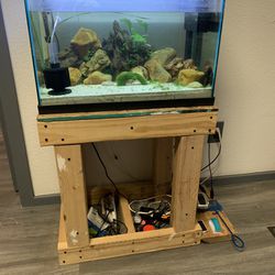 20 Gallon Fish Aquarium 