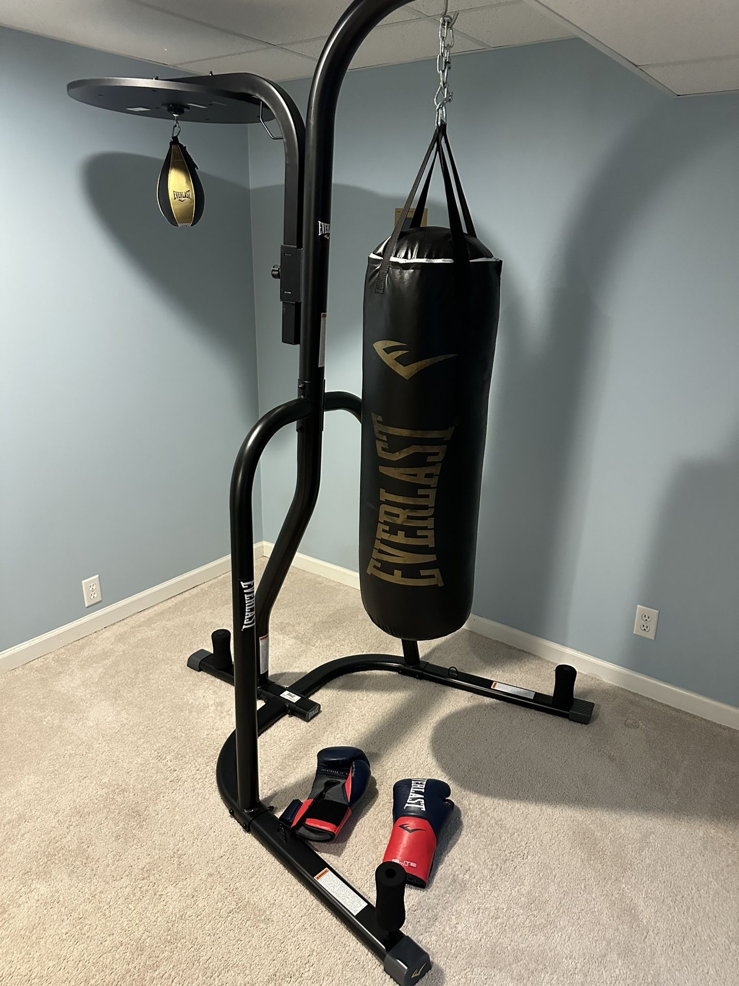 Everlast Dual Station Stand with 80lb Heavy Bag, Speed Bag and Boxing Gloves