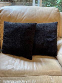 Set of 2 Black Decorative Throw Pillows