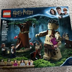 Lego, Harry Potter 75967 Forbidden Forest: Umbridge’s Encounter