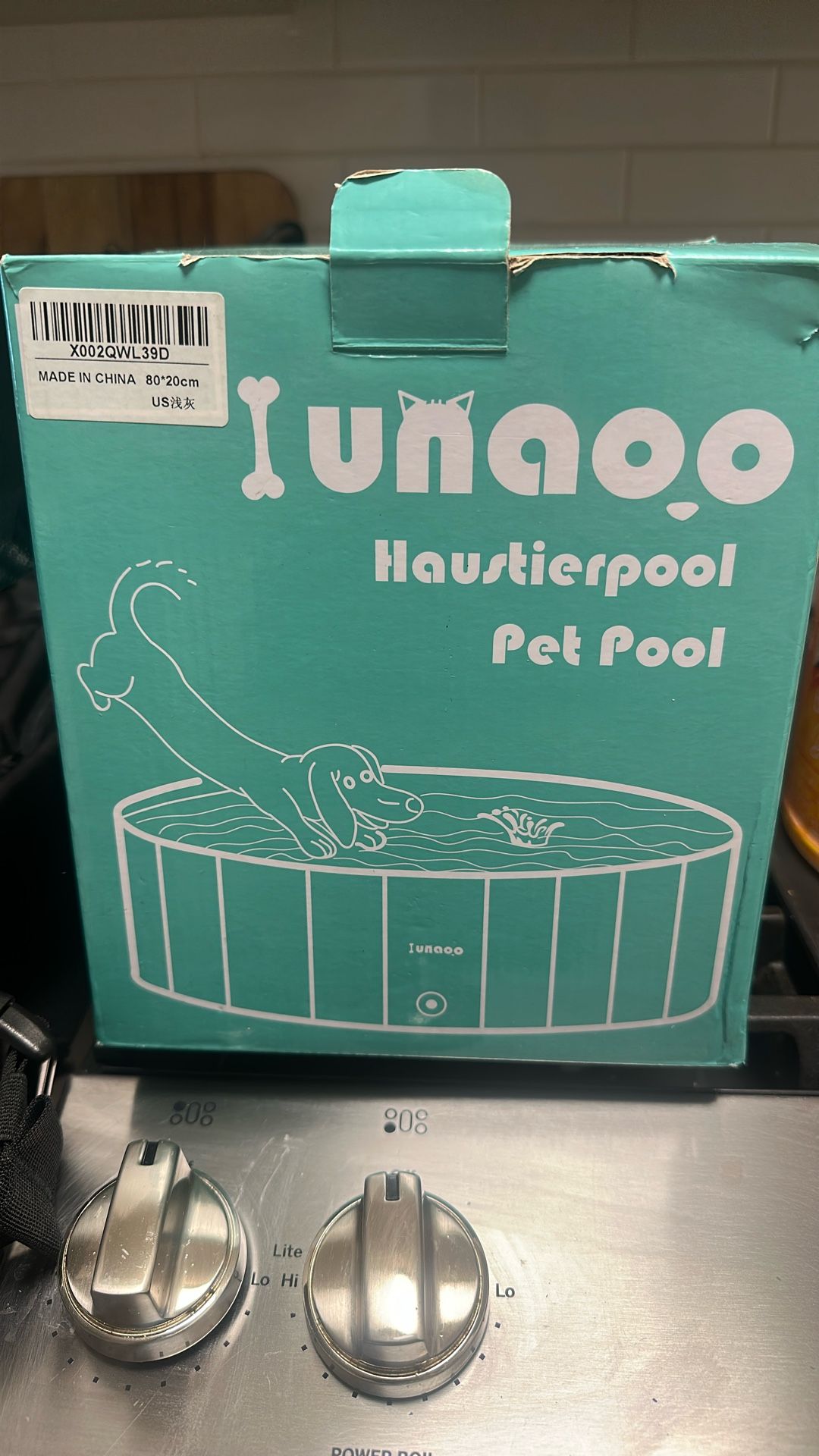 Dog Pool