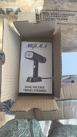 Dual voltage travel steamer