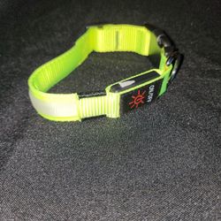 LED Dog Collar S/M