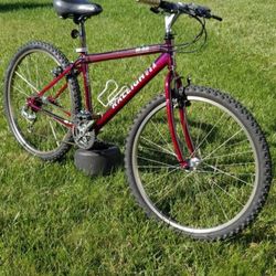 Mens 1995' Raleigh M50 Mountain Sport 21 Speed- Restored With Upgrades!