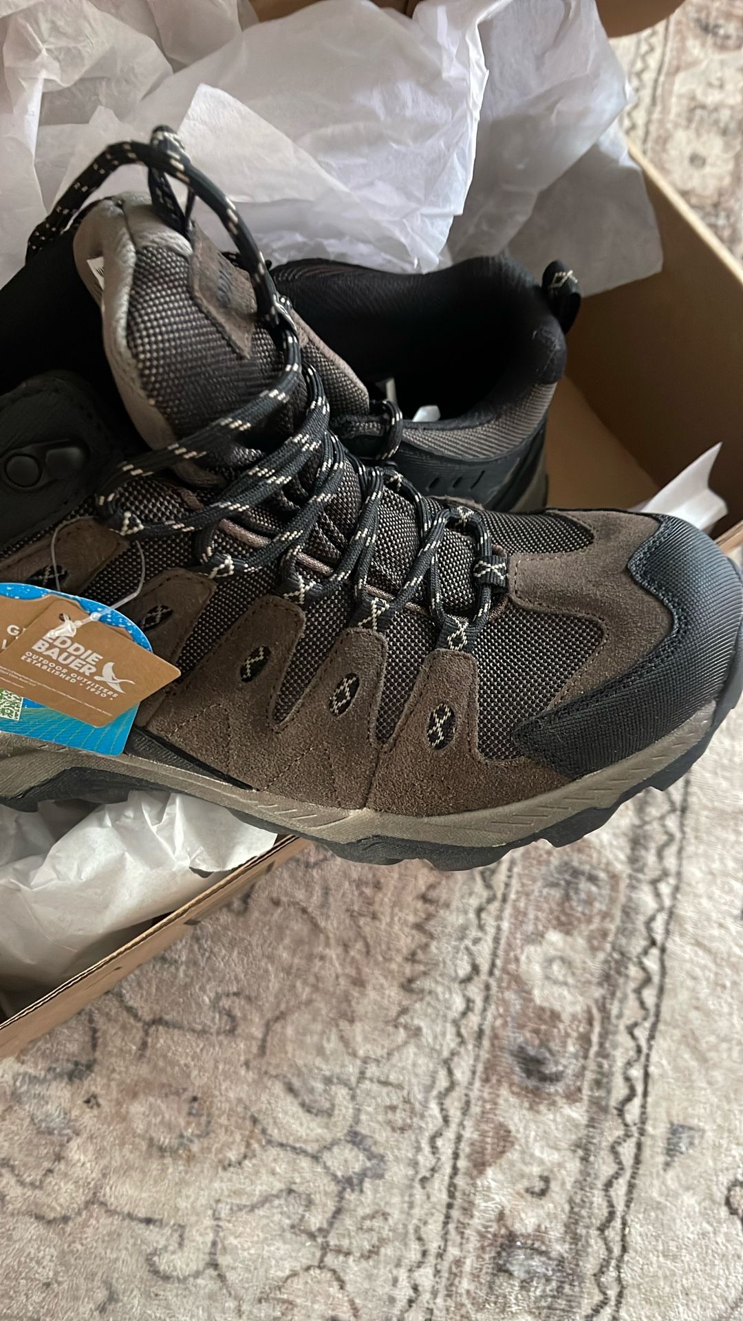 Hiking Boots