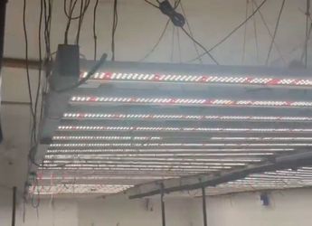 Led Grow Lights 600watt