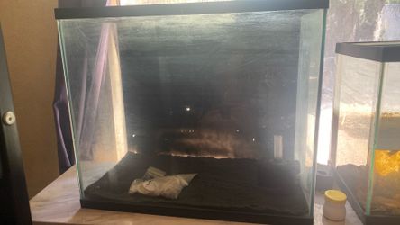 Fish tank