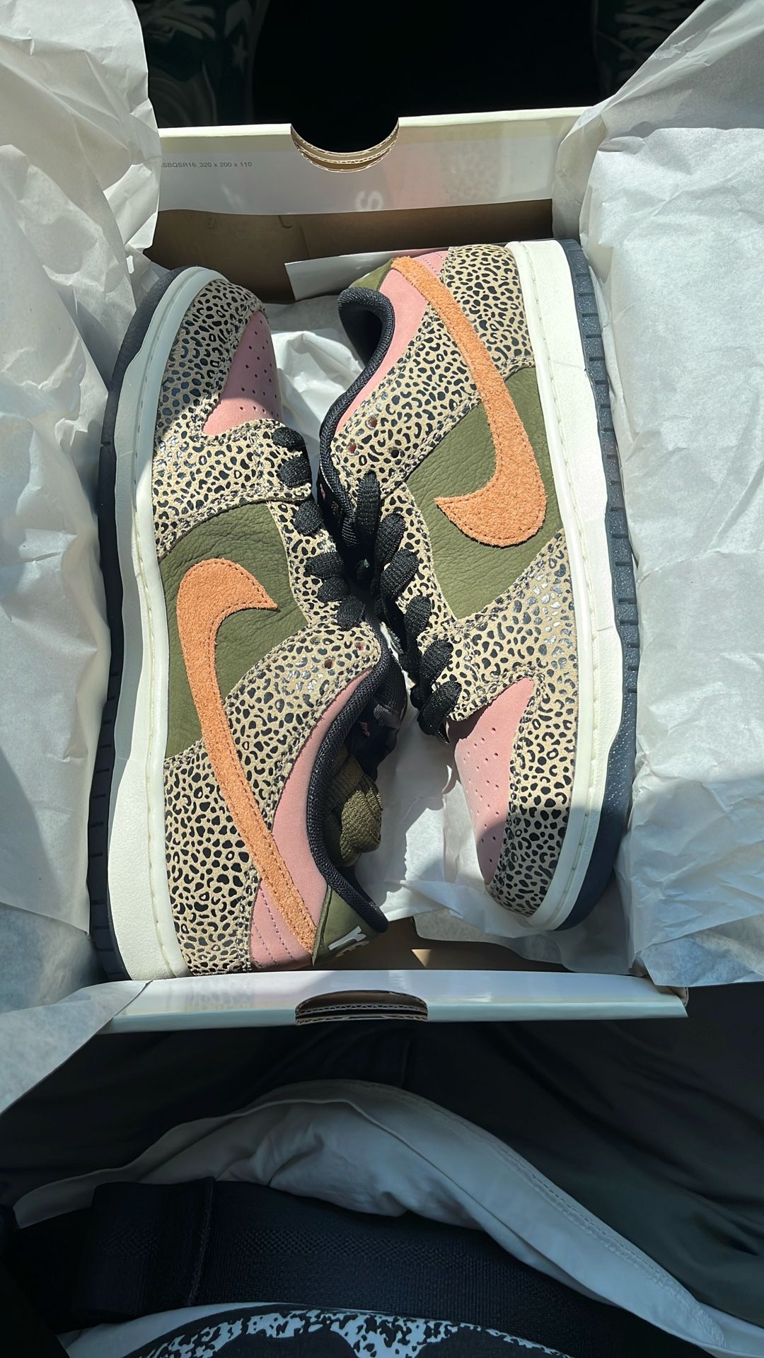 Nike SB Dunk Arts & Rec