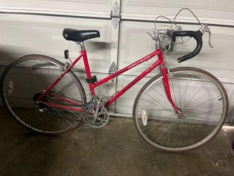 Schwinn World Sport Bike
