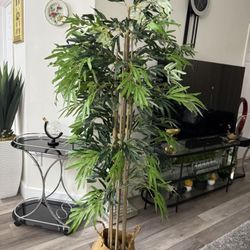 Pretty Artificial Plant 6 Ft Tall Bamboo Tree! Brand New 