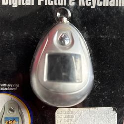Color, digital picture, keychain with key ring attachment