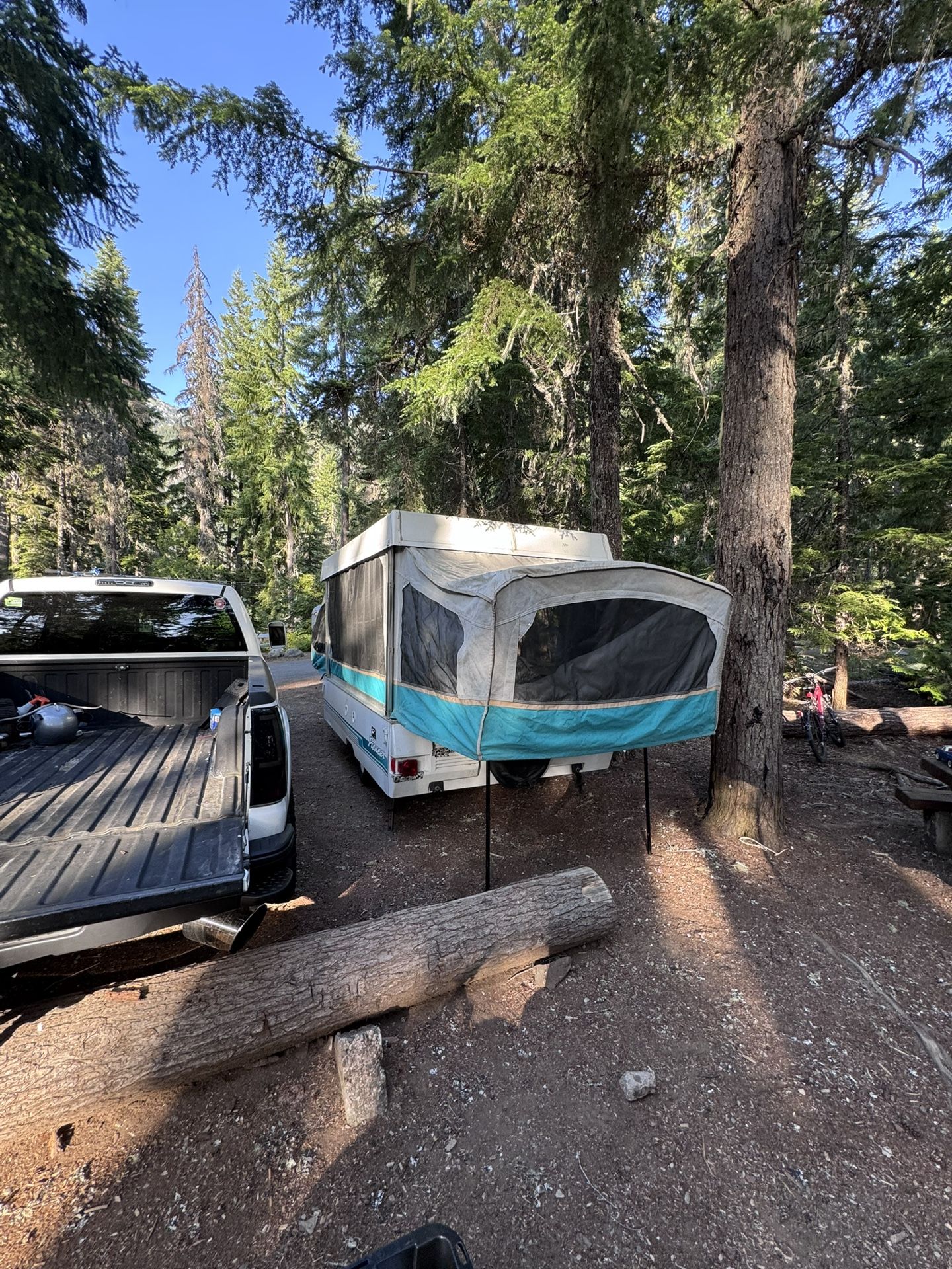 1994 Coleman Pioneer