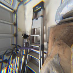 8 Foot Silver Ladder