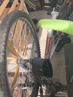 Mongoose Mountain Bike