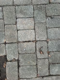 100 pavers