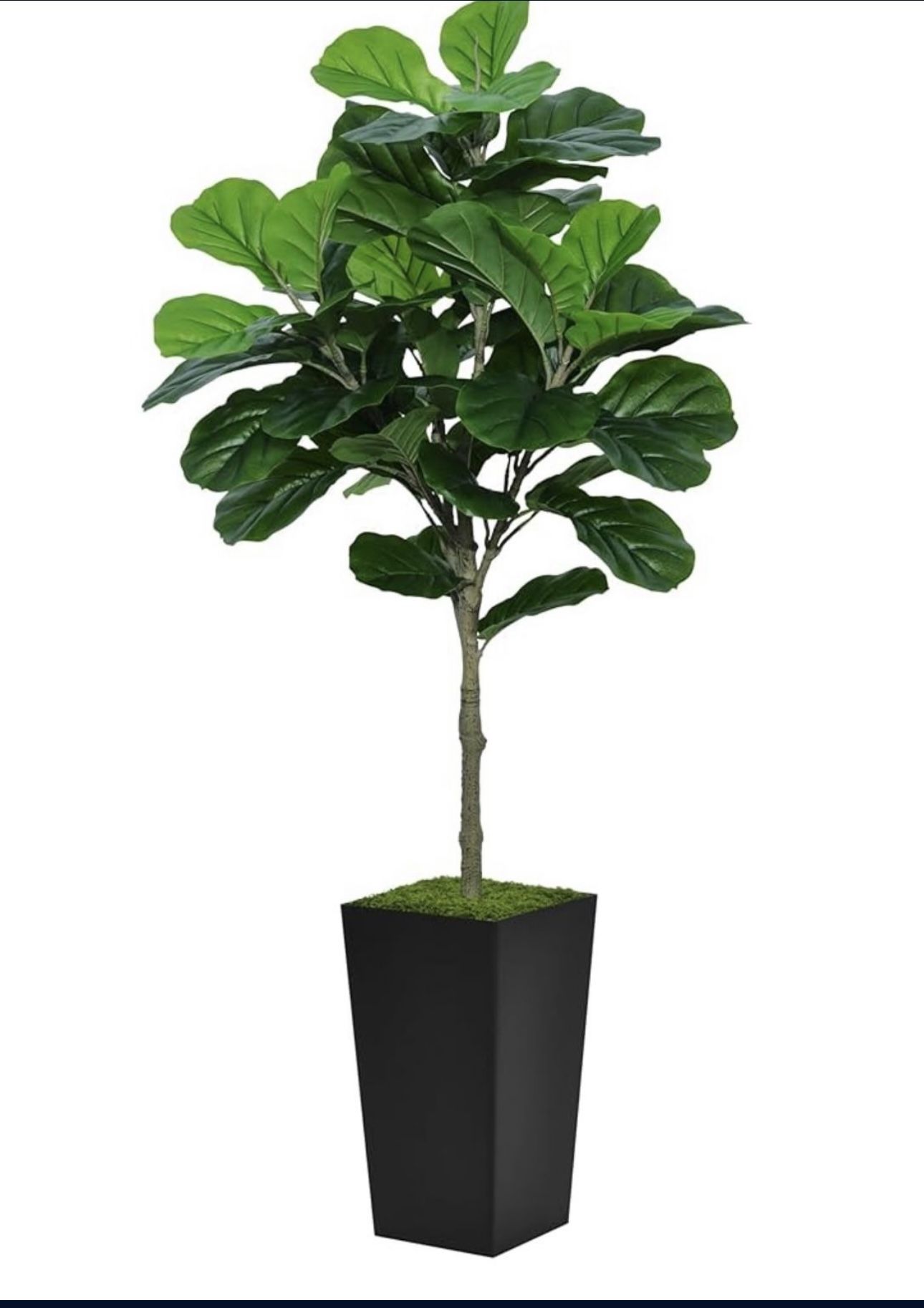 Beautiful Artificial Plant Home or Office Decor