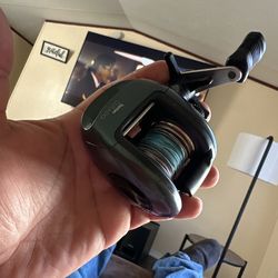 Shimano curado