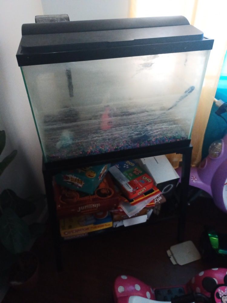 Fish Tank And Stand