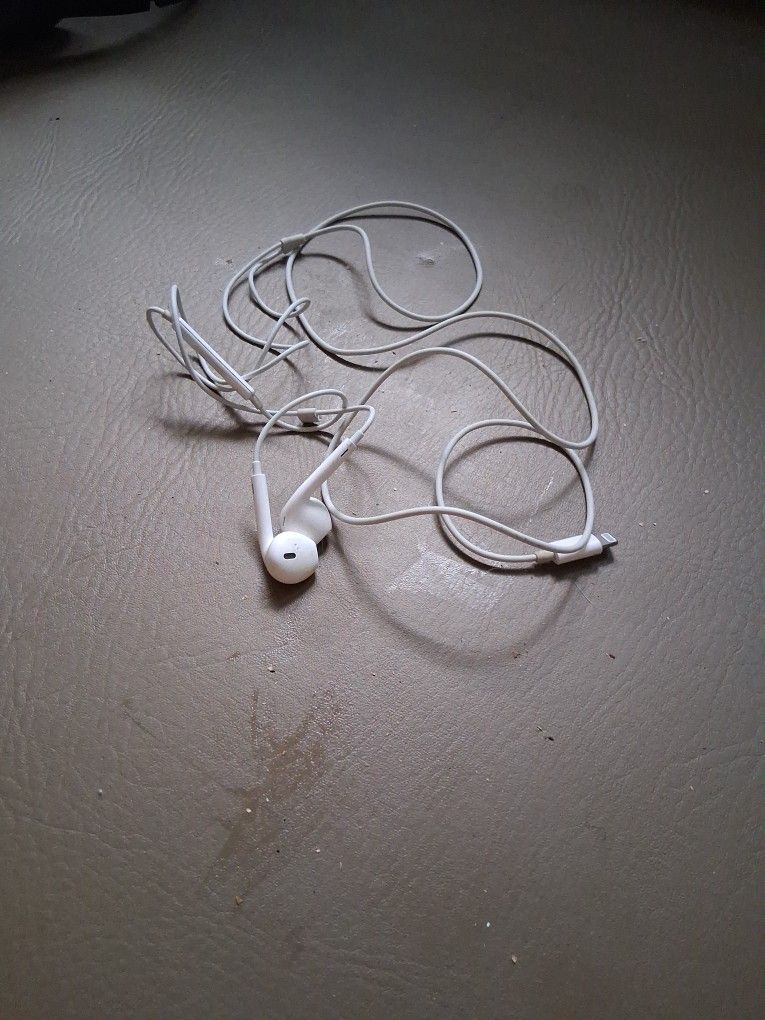 Apple Earbuds
