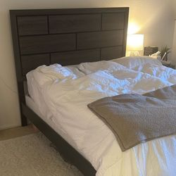Living Spaces Bed Frame 
