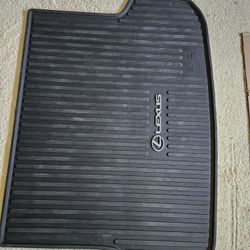 Lexus RX350 Trunk Cover 