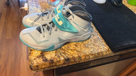 Nike/LeBron shoes