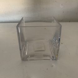 Glass Plant Vase 